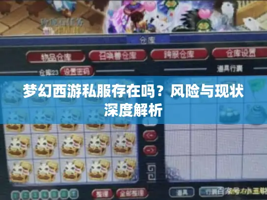 梦幻西游私服存在吗？风险与现状深度解析
