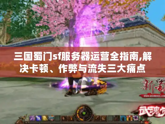 三国蜀门sf服务器运营全指南,解决卡顿、作弊与流失三大痛点