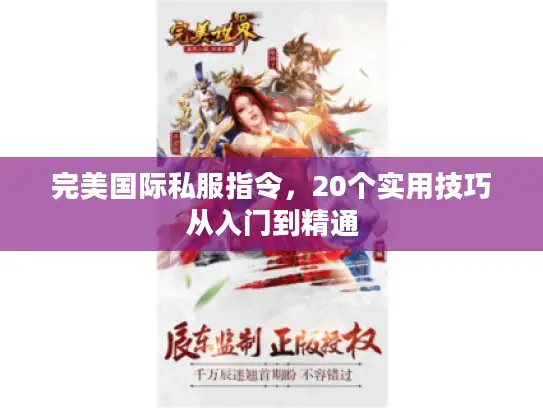 完美国际私服指令，20个实用技巧从入门到精通
