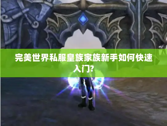 完美世界私服皇族家族新手如何快速入门?