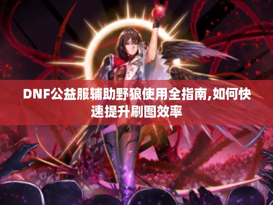 DNF公益服辅助野狼使用全指南,如何快速提升刷图效率