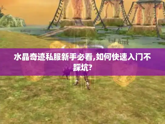 水晶奇迹私服新手必看,如何快速入门不踩坑?
