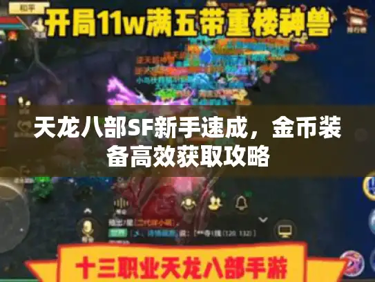 天龙八部SF新手速成，金币装备高效获取攻略