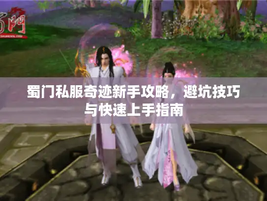 蜀门私服奇迹新手攻略，避坑技巧与快速上手指南