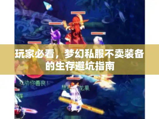 玩家必看，梦幻私服不卖装备的生存避坑指南