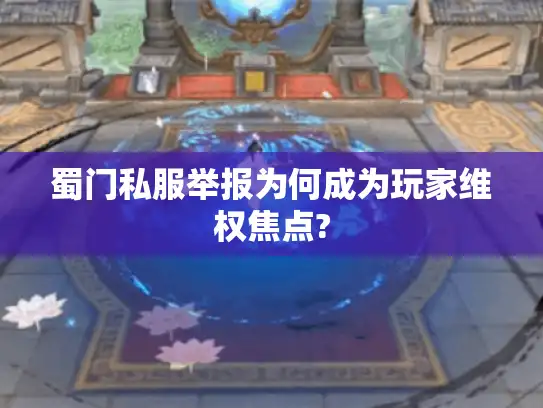 蜀门私服举报为何成为玩家维权焦点?