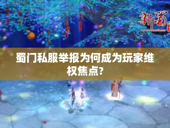 蜀门私服举报为何成为玩家维权焦点?