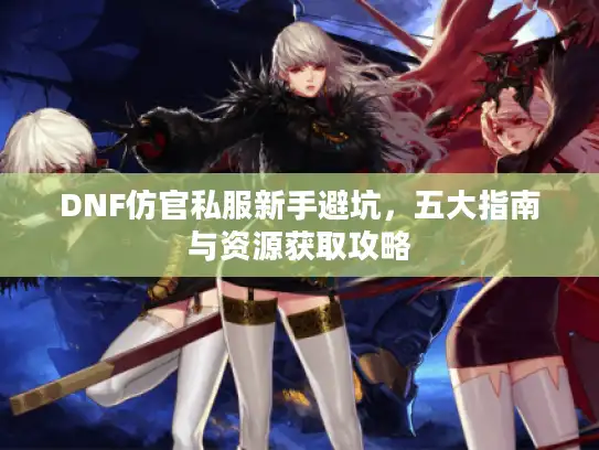 DNF仿官私服新手避坑，五大指南与资源获取攻略