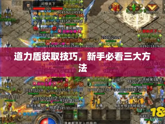 道力盾获取技巧，新手必看三大方法