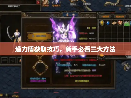 道力盾获取技巧，新手必看三大方法