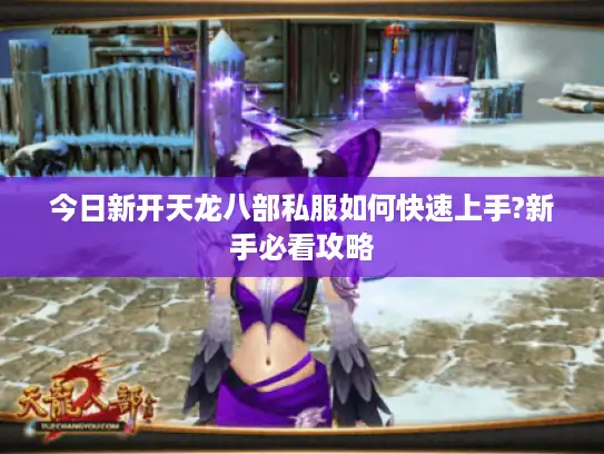 今日新开天龙八部私服如何快速上手?新手必看攻略