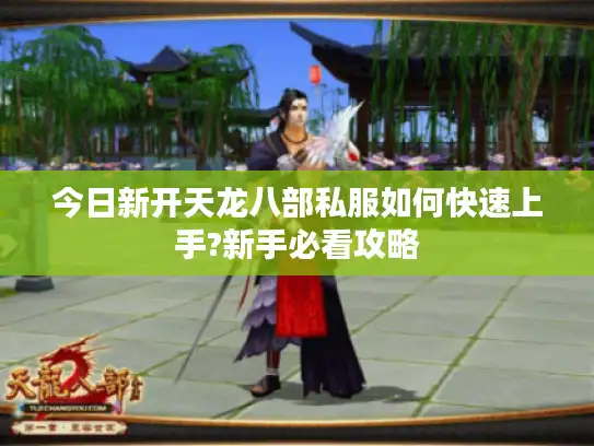 今日新开天龙八部私服如何快速上手?新手必看攻略