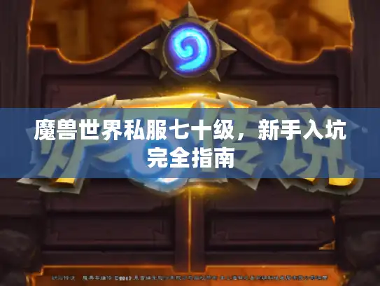 魔兽世界私服七十级，新手入坑完全指南