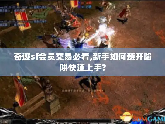 奇迹sf会员交易必看,新手如何避开陷阱快速上手?