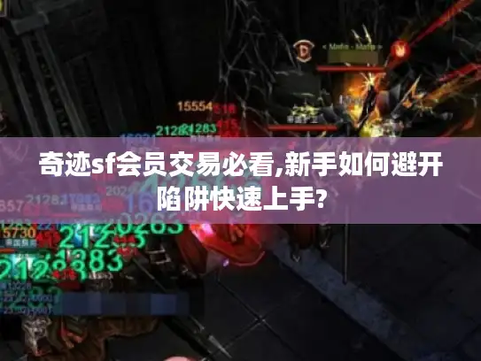 奇迹sf会员交易必看,新手如何避开陷阱快速上手?