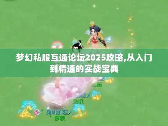 梦幻私服互通论坛2025攻略,从入门到精通的实战宝典