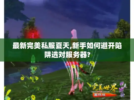 最新完美私服夏天,新手如何避开陷阱选对服务器?