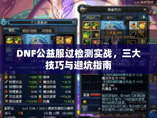DNF公益服过检测实战，三大技巧与避坑指南