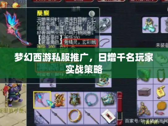 梦幻西游私服推广，日增千名玩家实战策略