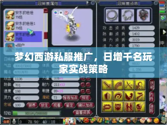 梦幻西游私服推广，日增千名玩家实战策略