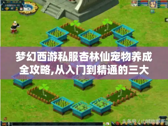 梦幻西游私服杏林仙宠物养成全攻略,从入门到精通的三大法则