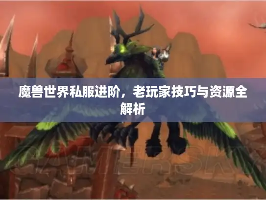 魔兽世界私服进阶，老玩家技巧与资源全解析