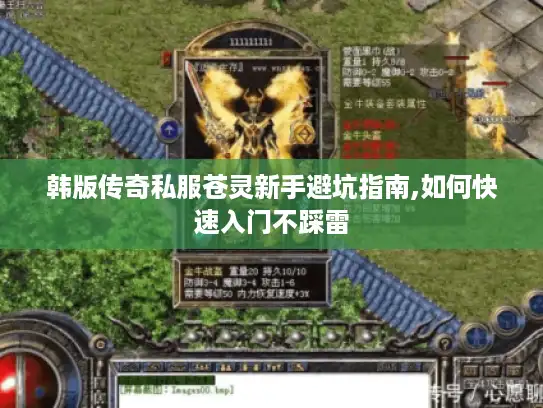 韩版传奇私服苍灵新手避坑指南,如何快速入门不踩雷 韩版传奇私服苍灵新手避坑指南,如何快速入门不踩雷