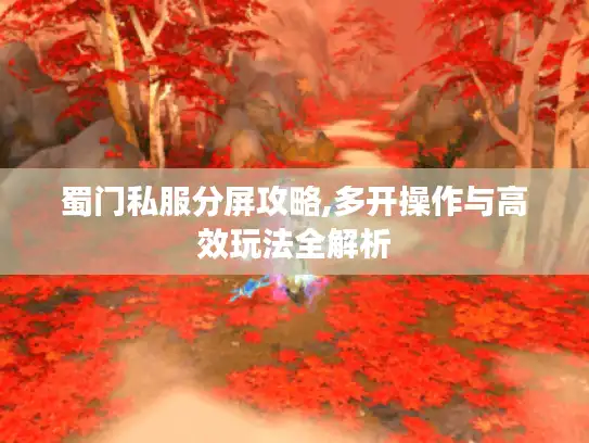 蜀门私服分屏攻略,多开操作与高效玩法全解析