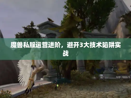 魔兽私服运营进阶，避开3大技术陷阱实战
