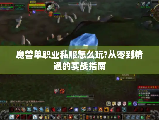 魔兽单职业私服怎么玩?从零到精通的实战指南