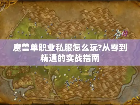 魔兽单职业私服怎么玩?从零到精通的实战指南