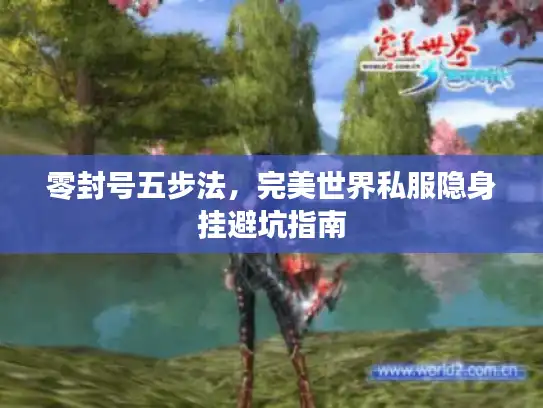 零封号五步法，完美世界私服隐身挂避坑指南