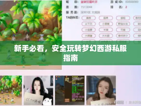 新手必看,安全玩转梦幻西游私服指南 新手必看,安全玩转梦幻西游私服指南