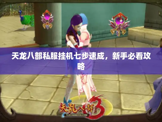 天龙八部私服挂机七步速成，新手必看攻略