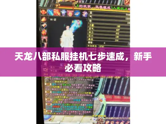 天龙八部私服挂机七步速成，新手必看攻略