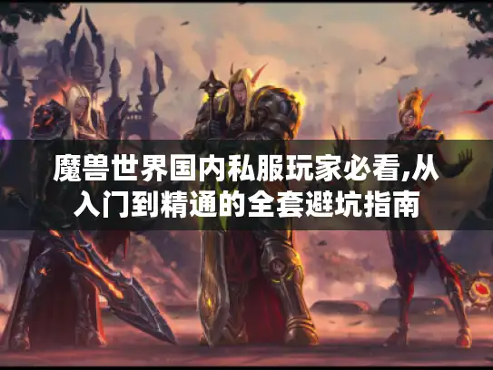 魔兽世界国内私服玩家必看,从入门到精通的全套避坑指南