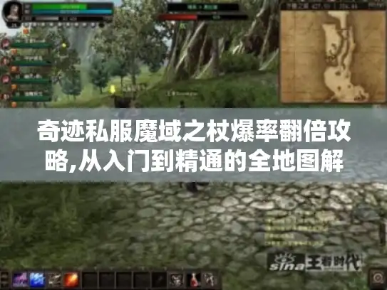 奇迹私服魔域之杖爆率翻倍攻略,从入门到精通的全地图解析