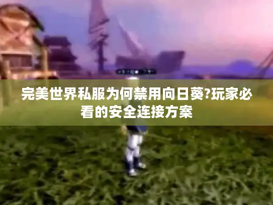 完美世界私服为何禁用向日葵?玩家必看的安全连接方案