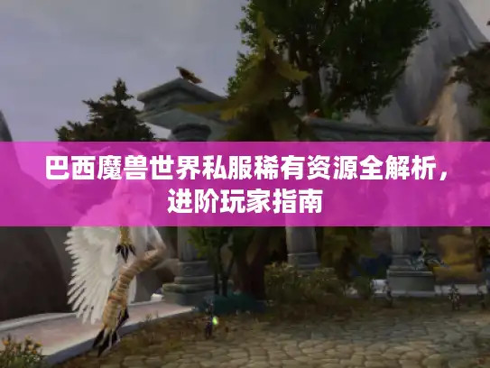 巴西魔兽世界私服稀有资源全解析,进阶玩家指南 巴西魔兽世界私服稀有资源全解析,进阶玩家指南