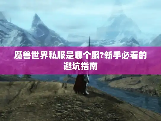 魔兽世界私服是哪个服?新手必看的避坑指南