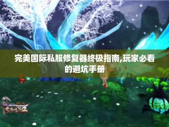 完美国际私服修复器终极指南,玩家必看的避坑手册