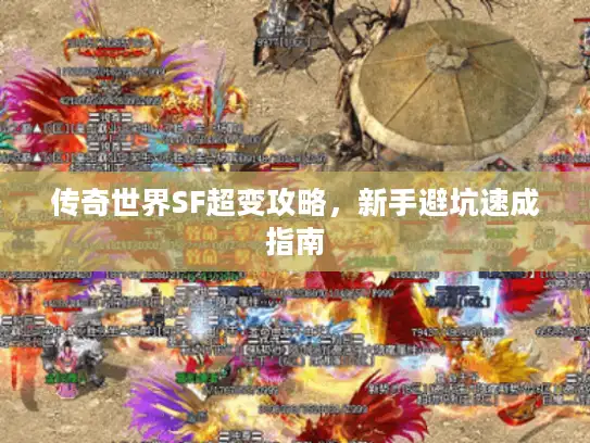 传奇世界SF超变攻略,新手避坑速成指南 传奇世界SF超变攻略,新手避坑速成指南