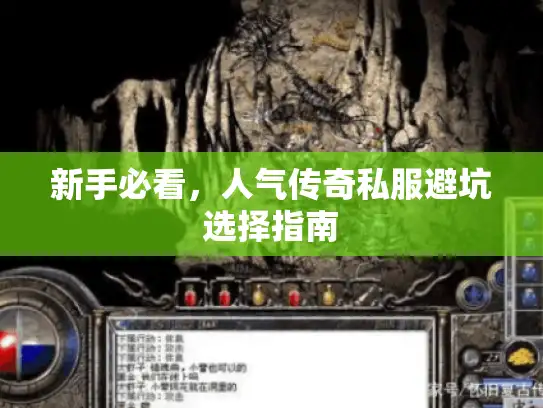 新手必看，人气传奇私服避坑选择指南