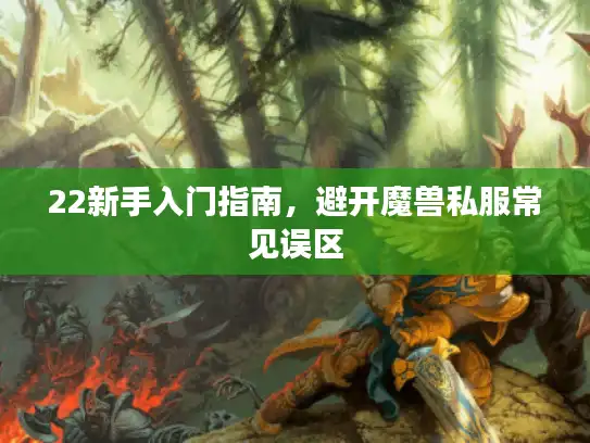 22新手入门指南，避开魔兽私服常见误区