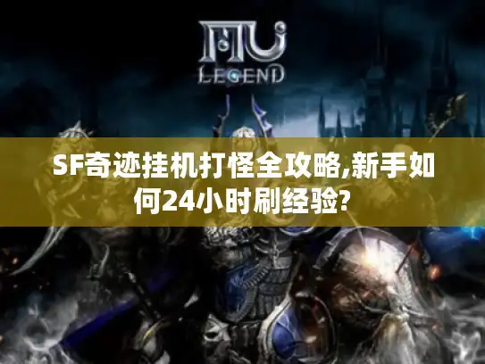 SF奇迹挂机打怪全攻略,新手如何24小时刷经验? SF奇迹挂机打怪全攻略,新手如何24小时刷经验?