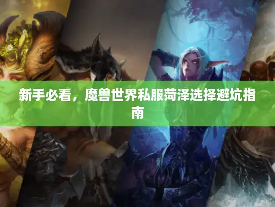 新手必看,魔兽世界私服菏泽选择避坑指南 新手必看,魔兽世界私服菏泽选择避坑指南