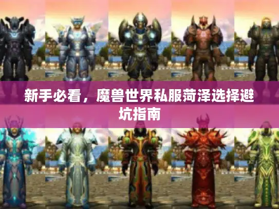 新手必看,魔兽世界私服菏泽选择避坑指南 新手必看,魔兽世界私服菏泽选择避坑指南