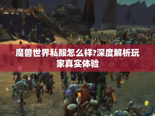 魔兽世界私服怎么样?深度解析玩家真实体验