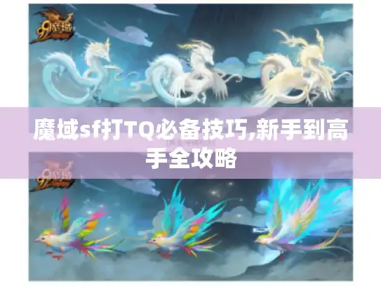 魔域sf打TQ必备技巧,新手到高手全攻略
