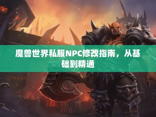 魔兽世界私服NPC修改指南，从基础到精通